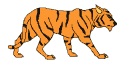 Tiger cat IO